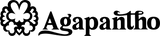Agapantho - Início